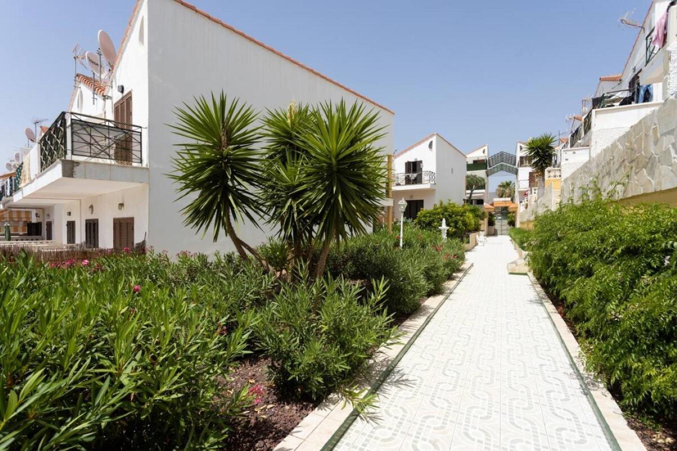 Classbnb - Two Apartments 250M From Las Americas Beach Playa de las Americas  Exteriör bild